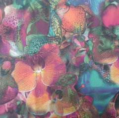 KAYLA CAPRI ORCHID